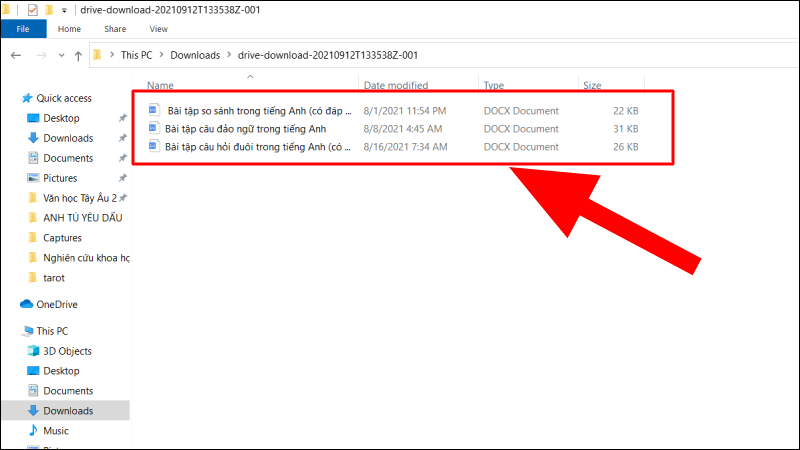H&igrave;nh minh họa cho kết quả hiển thị file tại mục Download tr&ecirc;n m&aacute;y t&iacute;nh